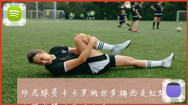 印尼球员卡卡罗纳尔多梅西走红球衣照点赞破两万六千